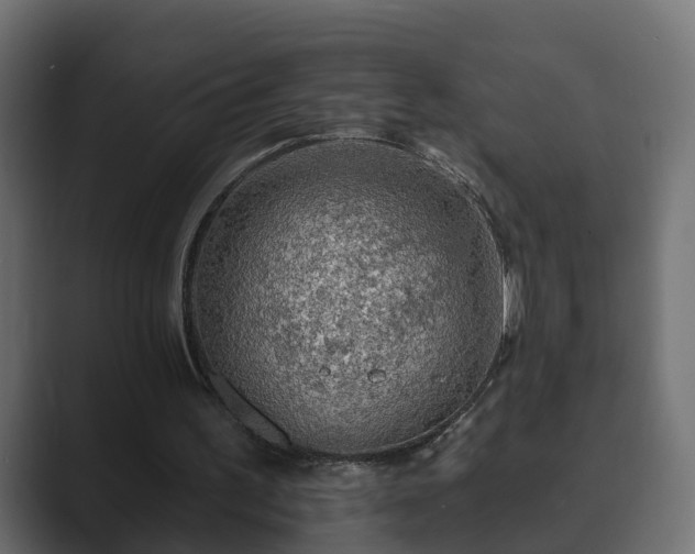 X0000089660195200706281327