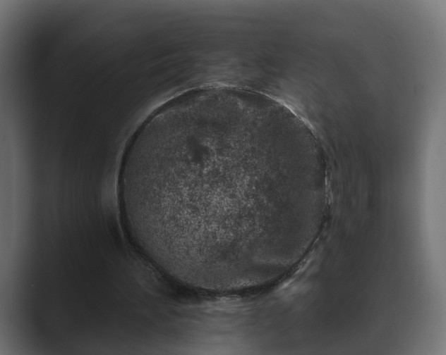 X0000089660196200706281327