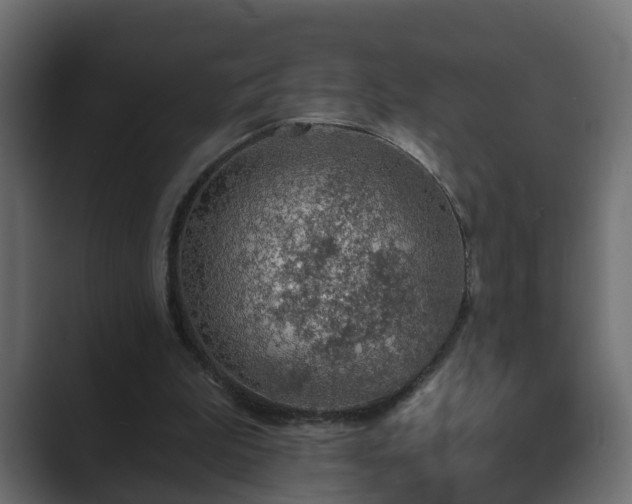 X0000089660199200706281327