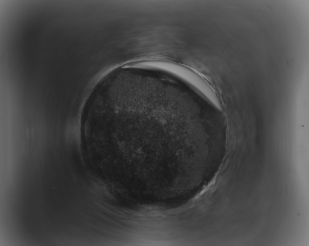 X0000089660200200706281327