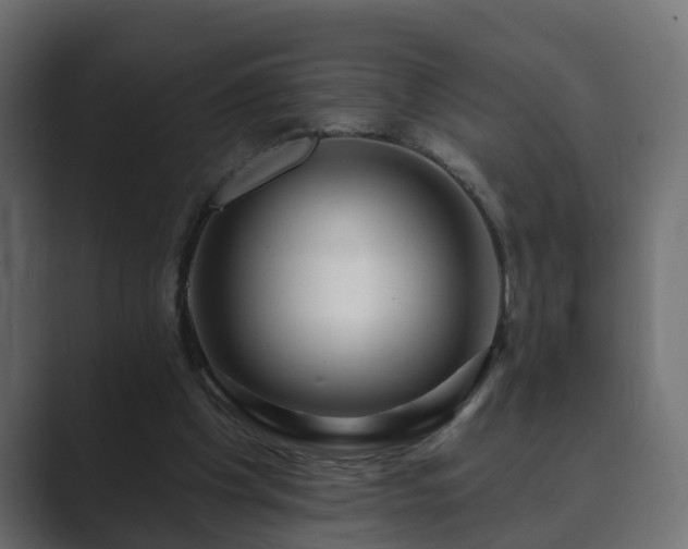 X0000089660201200706281327