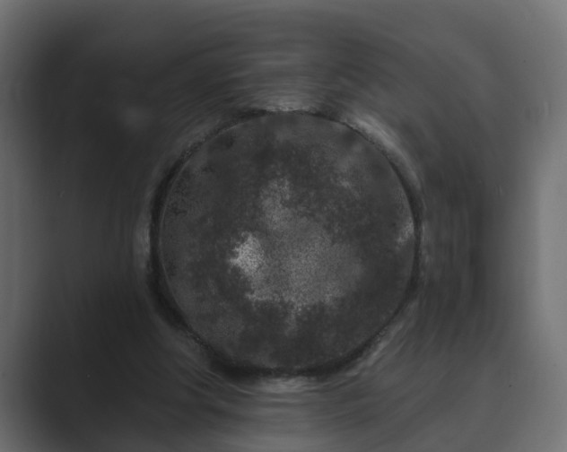 X0000089660202200706281327