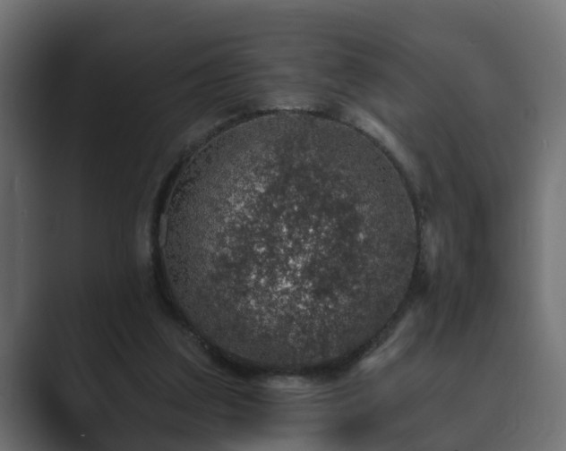 X0000089660203200706281327