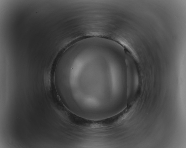 X0000089660204200706281327