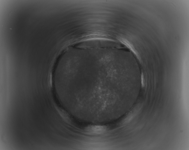 X0000089660205200706281327