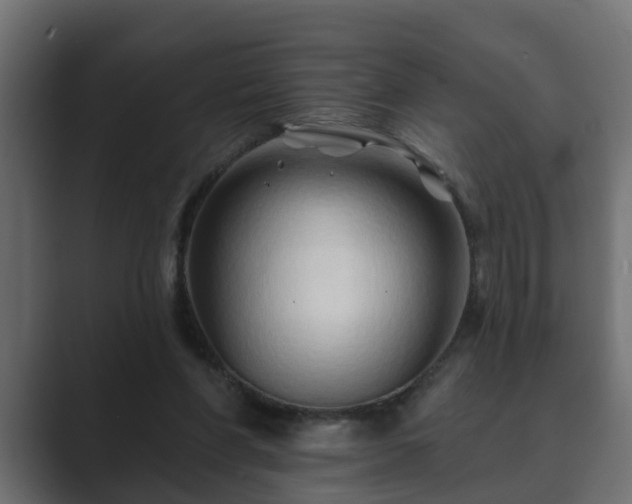 X0000089660206200706281327