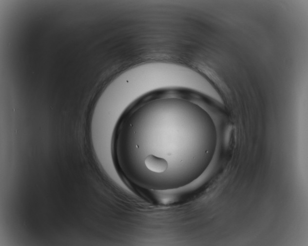 X0000089660207200706281327