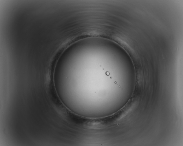 X0000089660208200706281327