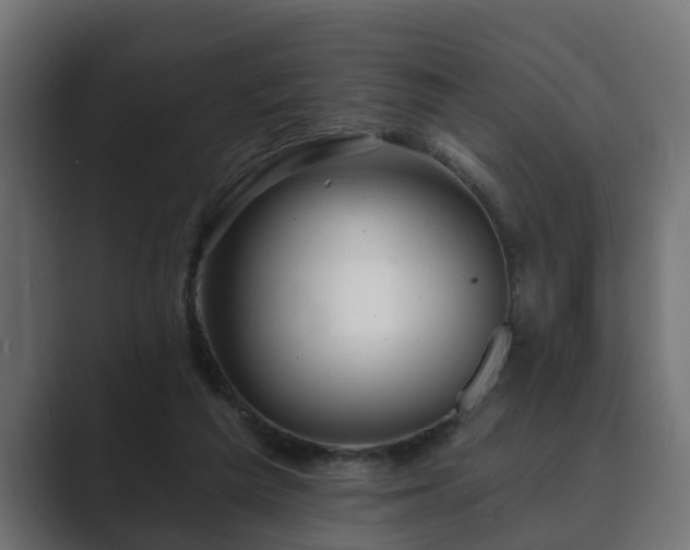 X0000089660209200706281327