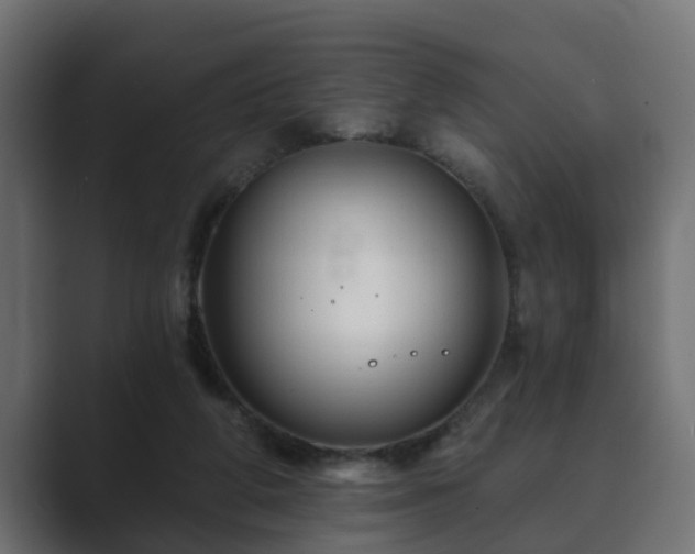 X0000089660210200706281327
