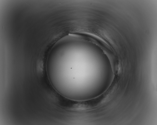 X0000089660211200706281327
