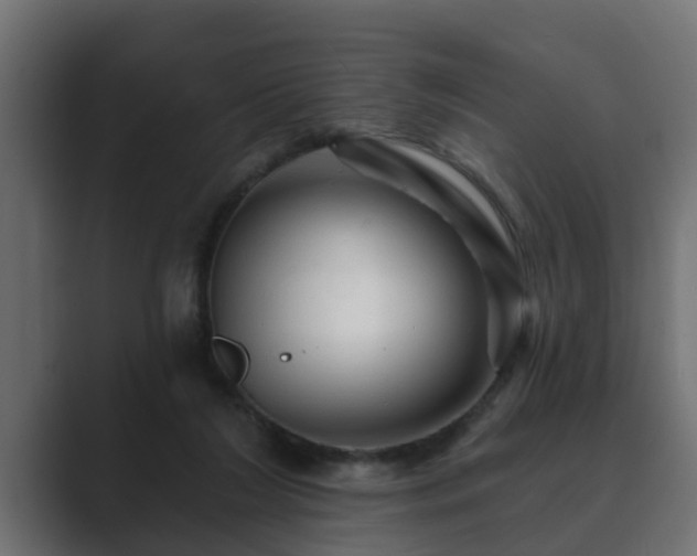 X0000089660212200706281327