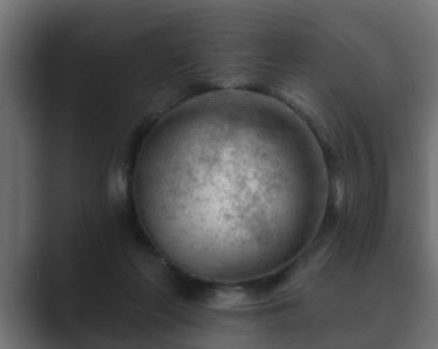 X0000089660214200706281327