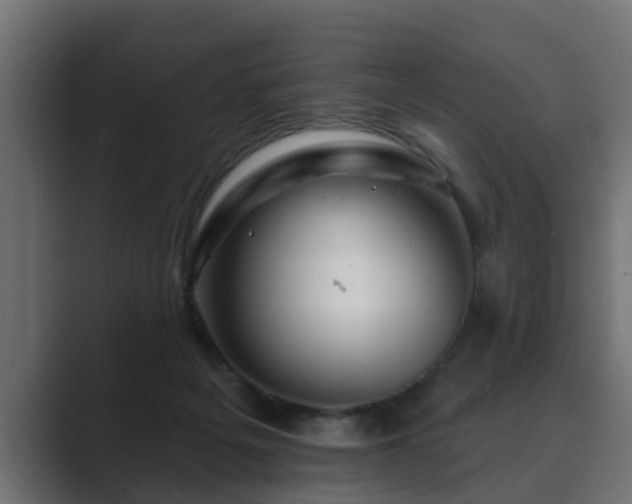 X0000089660217200706281327