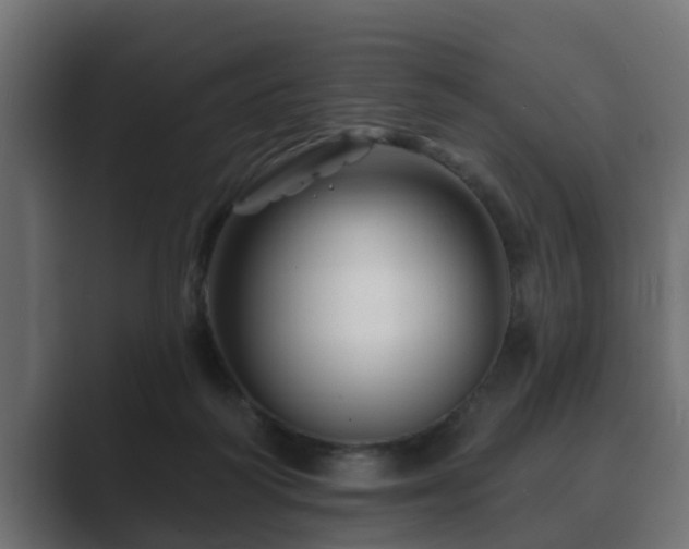 X0000089660218200706281327