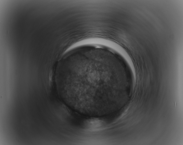 X0000089660219200706281327