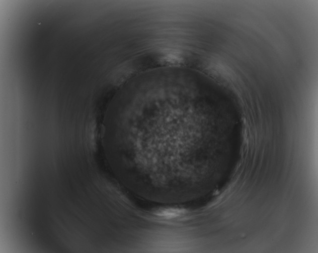 X0000089660223200706281327