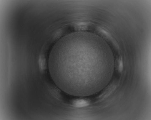 X0000089660224200706281327