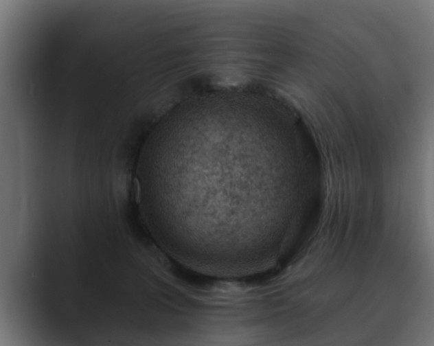 X0000089660227200706281327