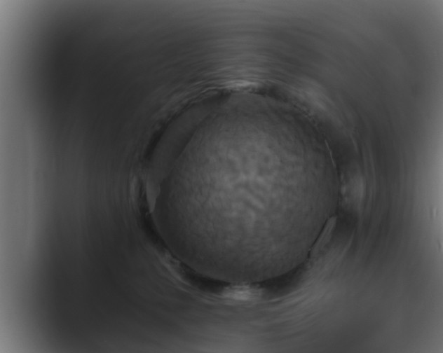 X0000089660231200706281327