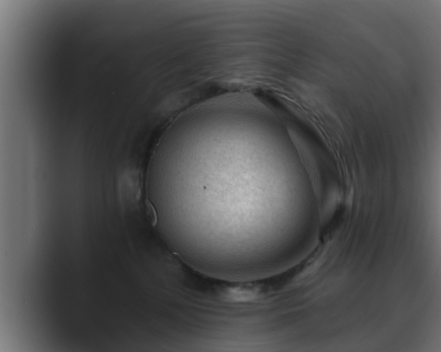 X0000089660232200706281327
