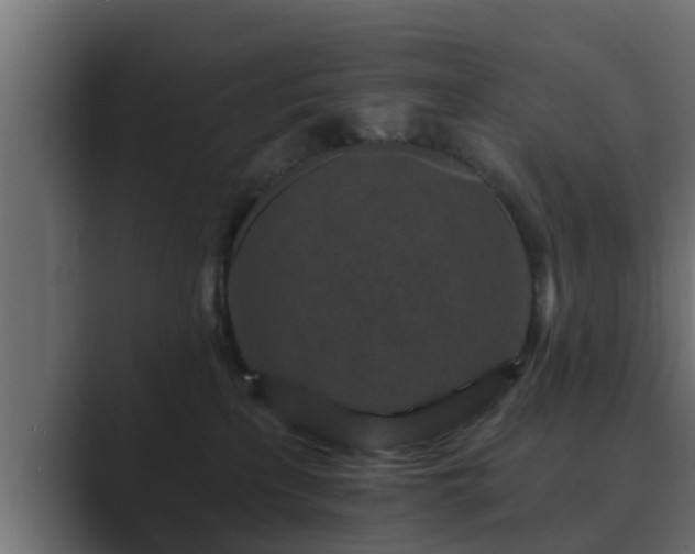 X0000089660233200706281327