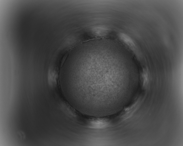 X0000089660235200706281327