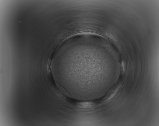 X0000089660237200706281327