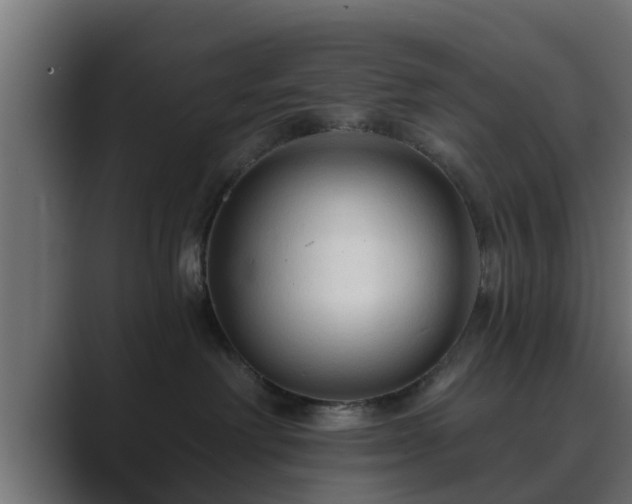 X0000089660238200706281327
