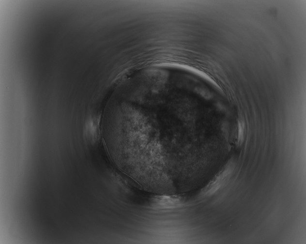 X0000089660239200706281327