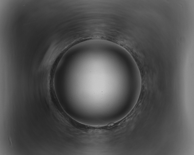 X0000089660242200706281326
