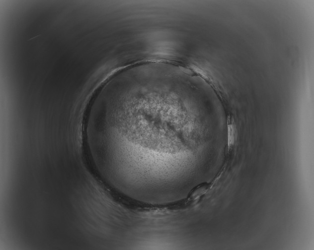 X0000089660243200706281326