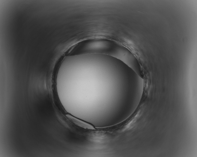 X0000089660244200706281326