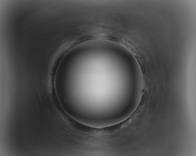 X0000089660245200706281326