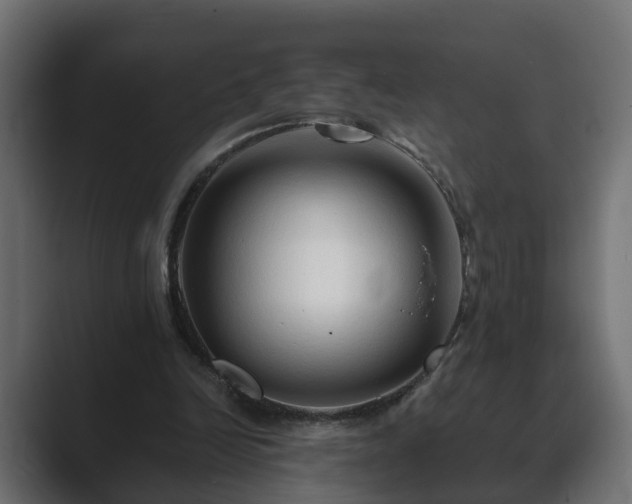 X0000089660246200706281326