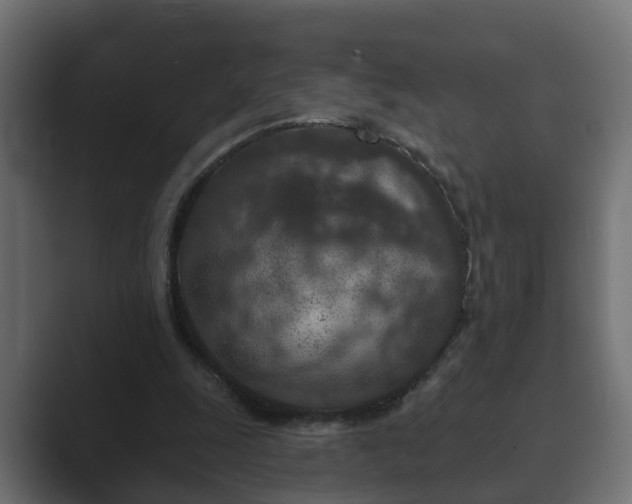 X0000089660247200706281326