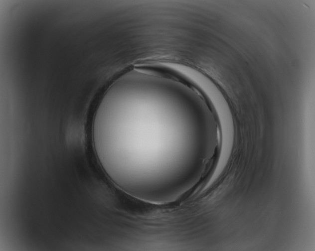 X0000089660252200706281326