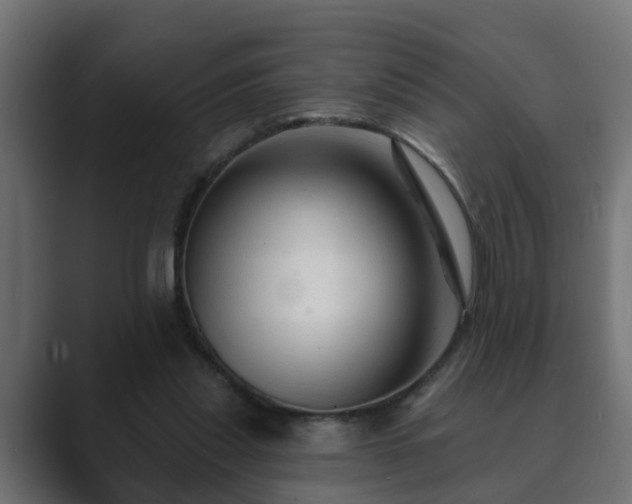 X0000089660253200706281326