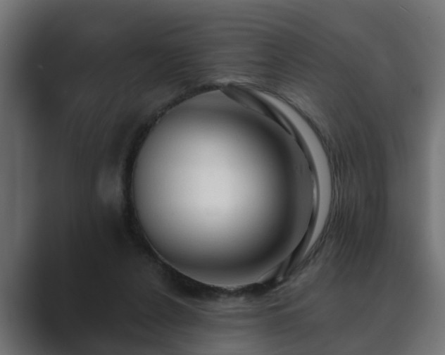X0000089660256200706281326