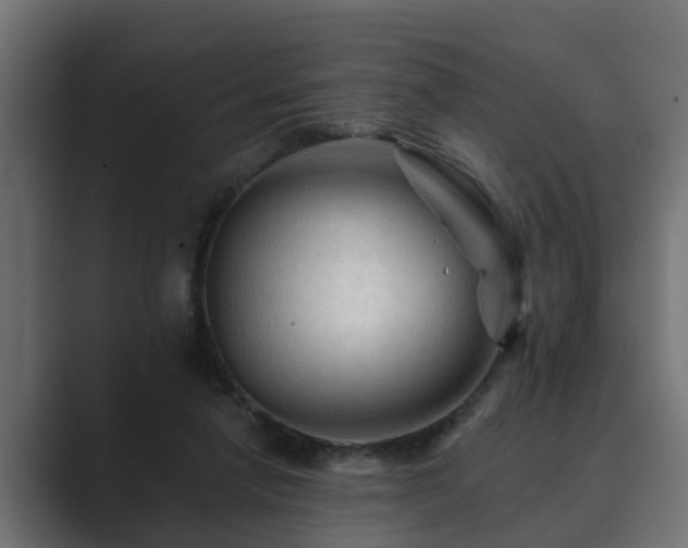 X0000089660258200706281326
