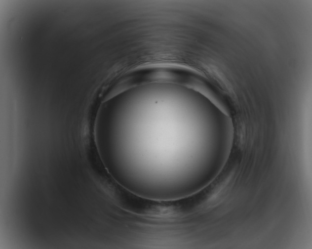 X0000089660260200706281326
