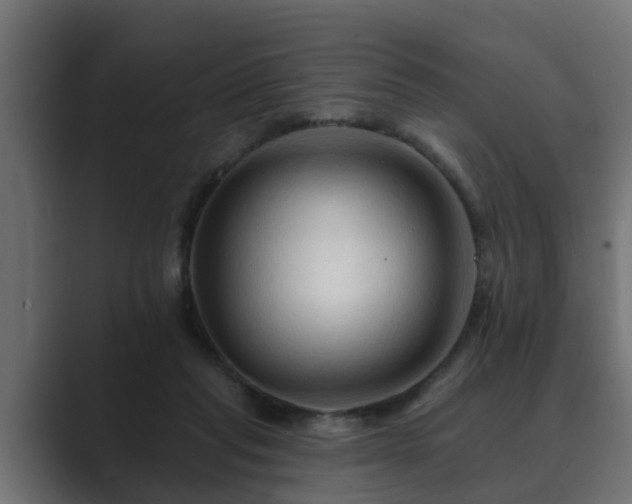 X0000089660261200706281326