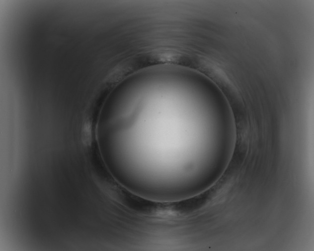 X0000089660262200706281326