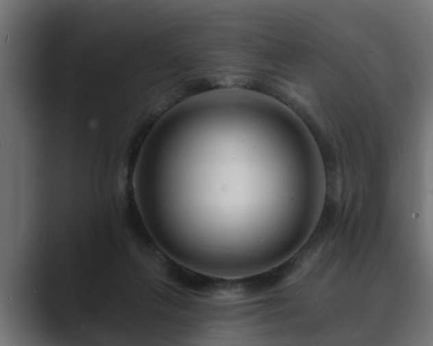 X0000089660263200706281326
