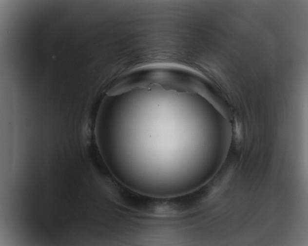 X0000089660264200706281326