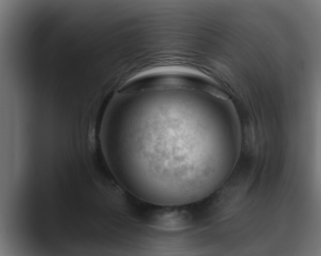 X0000089660267200706281326