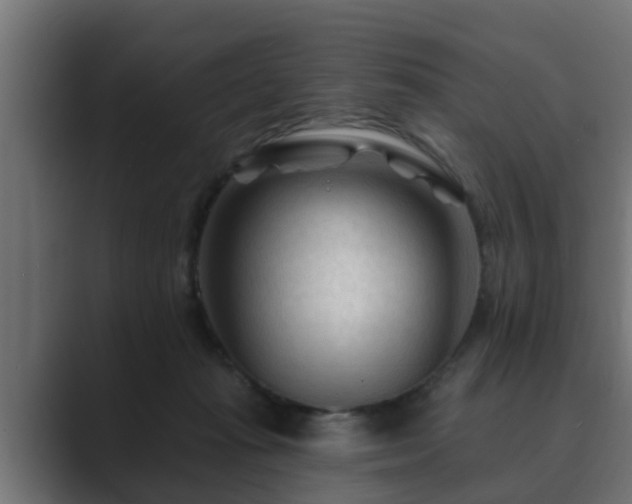 X0000089660269200706281326
