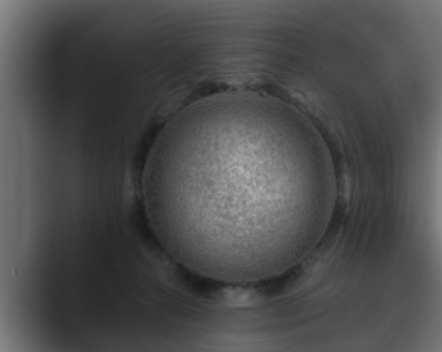 X0000089660272200706281326