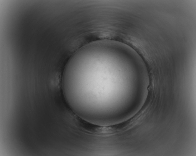 X0000089660273200706281326
