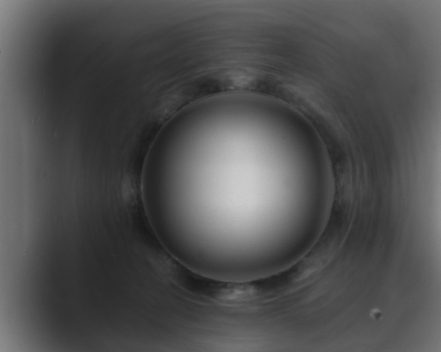X0000089660274200706281326